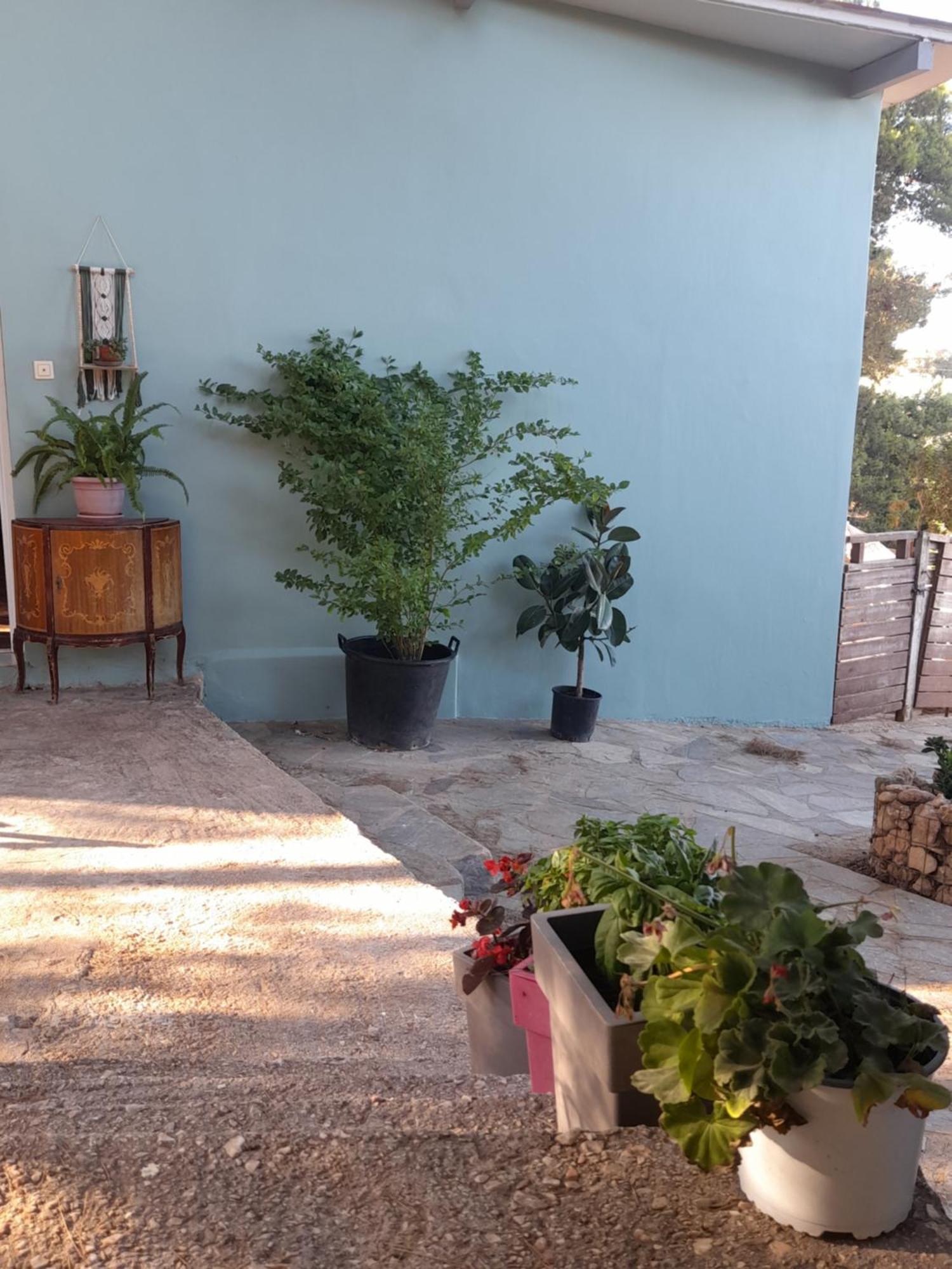 Elena'S Farm House Near Airport And Artemida Beach Luaran gambar